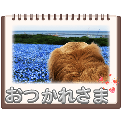 rikutokai_20260505144320