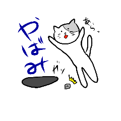 Life of gray tabby cat