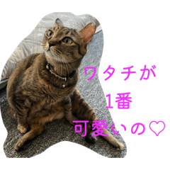 kozue_20260505123306