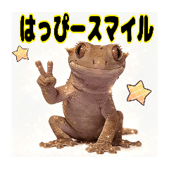 Luppy_20260505123743