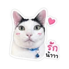 Mochi v.1_20260428143936