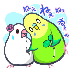 Java sparrow & lovebird