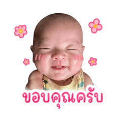 Nongflfa_20260428144226