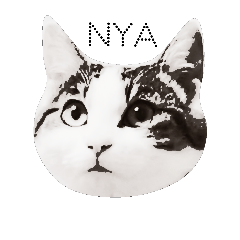 My strange cat -siva-