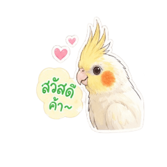 B_bird_nok_20260428143901