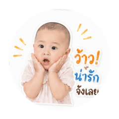 Puping_20260428144226