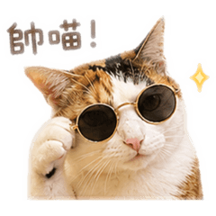 悠馬日常