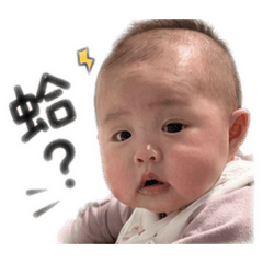 魚與妤