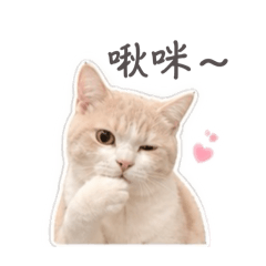 奶油怪