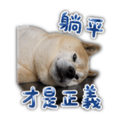 阿布上班厭世篇