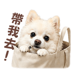 GWW我是博美2