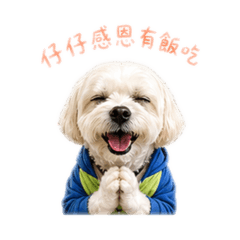 仔仔初體驗