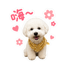 東摸摸西摸摸