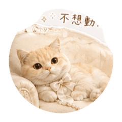 奶油冰淇淋喵Cream
