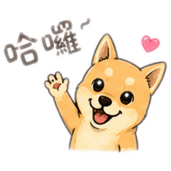 Daigo 第一彈（日常）