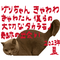 Kelico_20260505131835