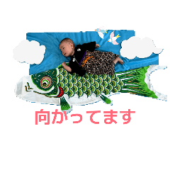 JUN_20260505132431