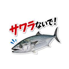 Oyakataman SAKANA