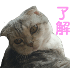 K_20260505133055