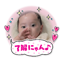nom_20260505155007