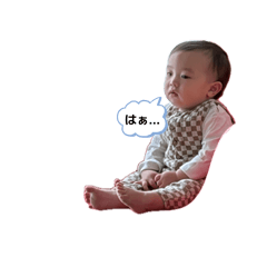 SEIKA_20260505155638