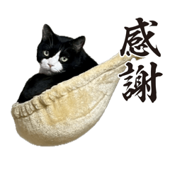 kyoko_20260505155502