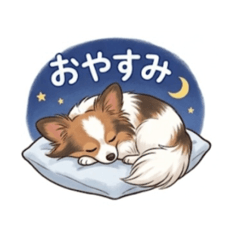 vick vick_20260505135241