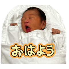 kaori_20260505140111