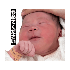 sisisi_20260505140241