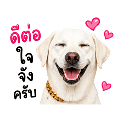 Punika Juejan_20260428144207