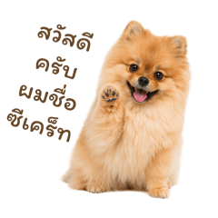 Nudchanart_20260428144740
