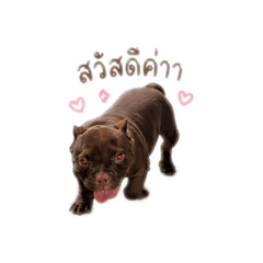 Lily_20260428144731