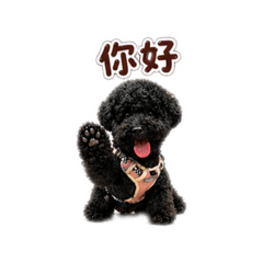可可 專屬貼圖