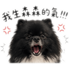 森森最可惡