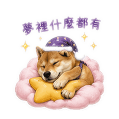 發柴日常貼圖2