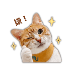 MIU的貼圖