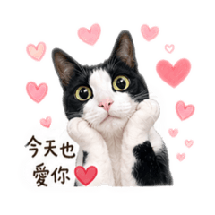 Oreo愛的告白