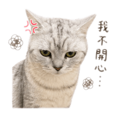 木寶