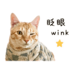 小吉喵喵日常～