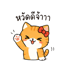 Moody Orange Cat