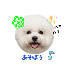 mimi_20260505150325