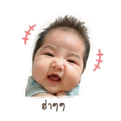 Rapheephan_20260428145655