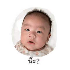 TinTinYongYeeRichard