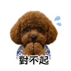 阿丁啊