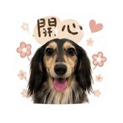 班尼日常3