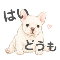 rui_20260429191508