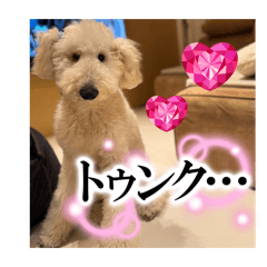 sosuke_sosuke