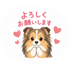 kobame_20260505163028