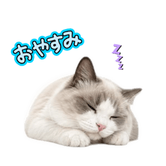 eruriamannbou2