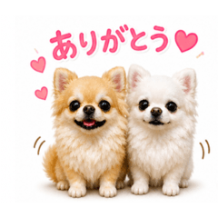 kao_20260505164417